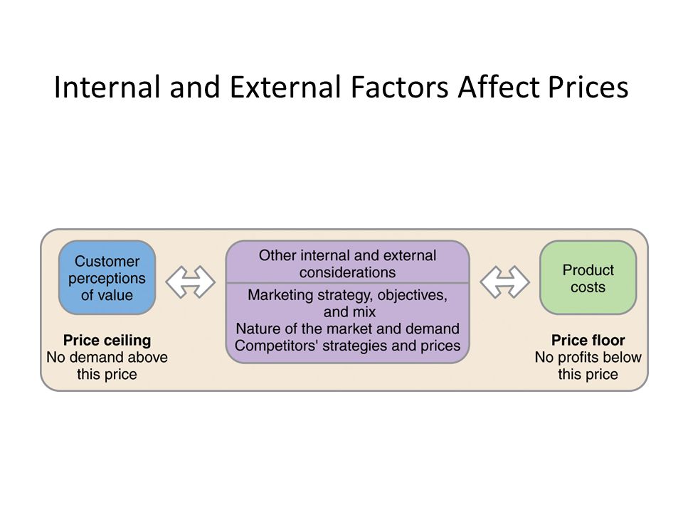 Factors Influencing Pricing Strategy